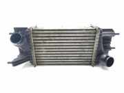 Ladeluftkühler NISSAN NV200 Furgon/Estate 1.5 dci (M20, M20M) CY178004