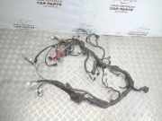 Motor Kabelbaum TOYOTA COROLLA Verso (_E12_) 2.0 D-4D (CDE120_)