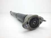 Stoßdämpfer rechts hinten Mercedes-Benz E-Klasse Coupe (C207) A2073202530