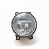Nebelscheinwerfer links vorne Citroen C4 II Picasso () 89210094