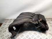 Ansaugkrümmer Nissan Juke (F15)