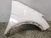 Kotflügel rechts vorne Hyundai Santa Fe III (DM)