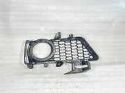 Gitter vorne unten BMW 3 (F30, F80) 316 d 18648510