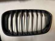 Kühlergrill oben BMW 1er (F21) 7371687