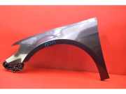 Kotflügel links vorne VW Passat B6 CC (357)