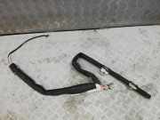 Airbag Dach links Citroen C4 II Picasso () 9800483280