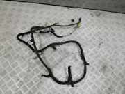 Kabelbaum Peugeot RCZ () 9689026080