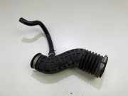 Andere Röhren NISSAN X-TRAIL (T31) 2.0 dCi