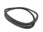 Türdichtung Citroen C4 II Grand Picasso ()