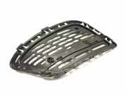 Gitter vorne unten MERCEDES-BENZ S (W222, V222, X222) S 350 BlueTEC / d (222.132, 222.032, 222.123) 16900