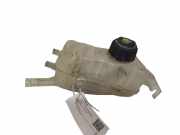 Ausgleichsbehälter RENAULT MEGANE III Hatchback (BZ0_) 1.5 dCi (BZ09, BZ0D) 217100005R
