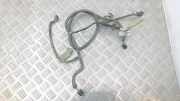 Kabelbaum Vorderen Parksensoren OPEL SIGNUM 1.9 CDTI 24438408