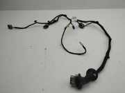 Kabel Tür Peugeot 3008 II (MC, MR, MJ, M4) 9818858580