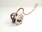 Tankdeckelschloss Audi A8 (4D, D2) 4E0919679