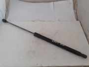 Heckklappe Gasdruckfeder links MERCEDES-BENZ B (W245) B 180 CDI (245.207) 3079xn Q1A1699801064