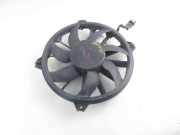 Gebläsemotor Citroen C4 II (B7)