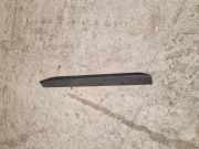 Abdeckung Seitenschweller aus Kunststoff rechts