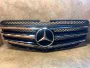 Gitter MERCEDES-BENZ R (W251, V251) R 350 CDI 4-matic (251.023, 251.123) A0008880060