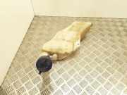 Fensterwaschtank PEUGEOT 206 Hatchback (2A/C) 1.4 HDi eco 70 9628747480