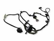 Türverkabelung hinten links VOLVO S60 III (224) 2.0 T6 32247349