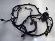 Kabelbaum LAND ROVER RANGE ROVER SPORT II (L494) 3.0 D 4x4 KK6215B484CC