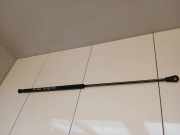 Gasfeder für Motorhaube Audi A4 Avant (8E, B7)