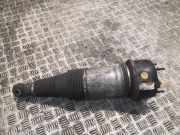 Stoßdämpfer hinten rechts JAGUAR XJ (X351) 3.0 D DW935B749BA C2D27387