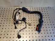 Türverkabelung hinten links VW TOUAREG (7P5) 3.6 V6 FSI 7P6971694D