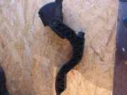 Gaspedal AUDI A6 Avant (4B5, C5) 2.5 TDI quattro 6PV00837603 8D1721523F