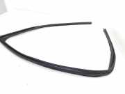 Türgummi links vorne Dacia Lodgy (JS)