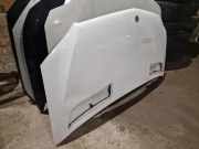 Motorhaube FORD TRANSIT V363 Van (FCD, FDD) 2.0 EcoBlue