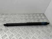 Heckklappendämpfer links BMW X5 (E70) 7177283