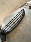 Gitter vorne unten VW CADDY III Furgon (2KA, 2KH, 2CA, 2CH) 2.0 SDI 4754999532