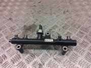 Einspritzleiste Peugeot RCZ () 9681909680