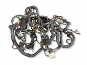 Motor Kabelbaum NISSAN PATHFINDER III (R51) 2.5 dCi 4WD 24012EB303