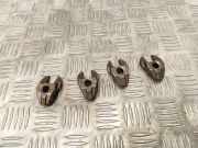 Dichtung für Düsenhalter Citroen C4 Aircross ()