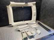 Dachverkleidung TESLA MODEL S 85 100247600G