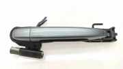 Türaußengriff hinten links SUBARU LEGACY V (BM) 2.0 D AWD