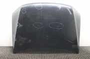 Motorhaube VW Amarok (2H)