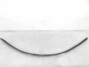 Dachleiste links MERCEDES-BENZ S Coupe (C215) CL 500 (215.375)