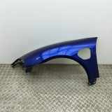 Kotflügel vorne links