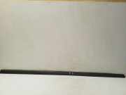 Türleiste vorne links