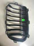 Vorderer oberer Gitter BMW X1 (F48) sDrive 18 i 7383366