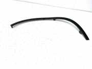 Schutzleiste Kotflügel Honda CR-V II (RD) 74165SWTW000
