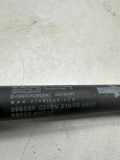 Heckklappe Gasdruckfeder links TOYOTA AYGO (_B1_) 1.0 (KGB10_) 689500H010