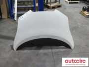 Motorhaube Nissan Leaf (ZE0) F510M3NAMB