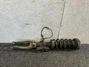 Stoßdämpfer vorne links BMW 5 (G30) 530 d 198450