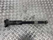 Stoßdämpfer hinten links ALFA ROMEO STELVIO (949_) 2.0 Q4 50559658