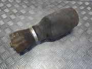 Stoßdämpfer links hinten BMW X5 (E53) 6750355