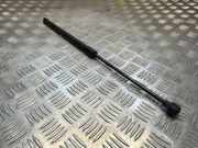 Heckklappe Gasdruckfeder rechts FORD ECOSPORT 1.0 EcoBoost GN15n400a12